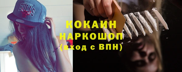 индика Алексеевка