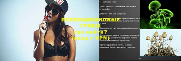 индика Алексеевка