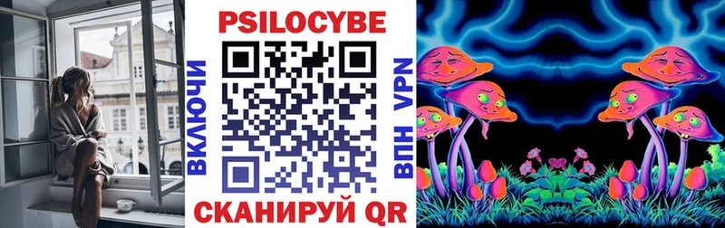 Галлюциногенные грибы Psilocybine cubensis  Сельцо 